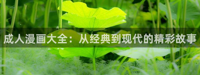 51漫画免费网站