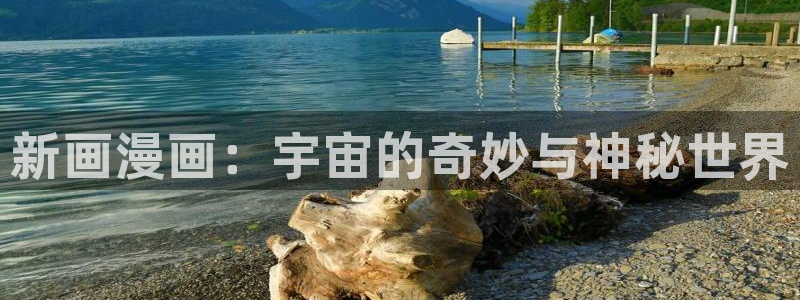 51漫画应用软件