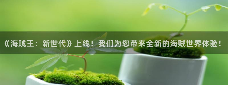 在线观看51漫画：《海贼王：新世代》上线！我们为您带来全新的海贼世界体验！